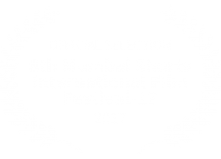 6th Mumbai Shorts International Film Festival-17 - 2017