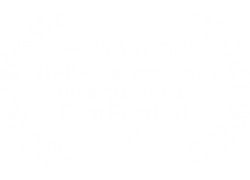 Switzerland International Film Festival - 2017